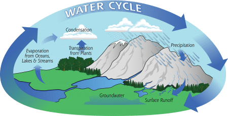 Week 5, Day 1: The Water Cycle – Pajarito Environmental Education Center