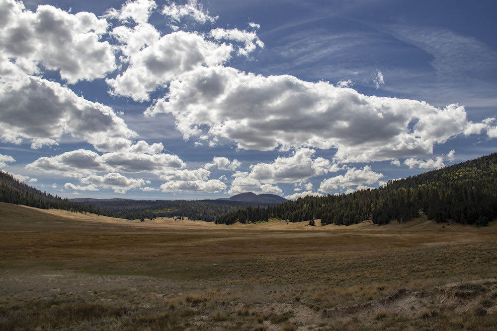 Valles Caldera view