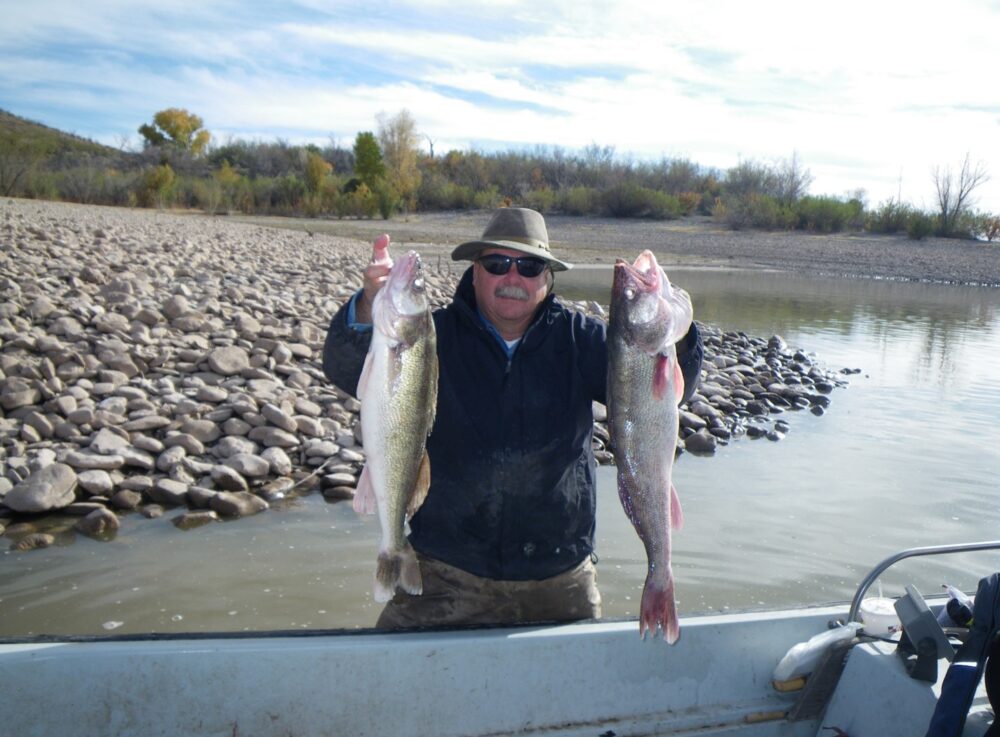 Native and Introduced Fish Species in New Mexico Pajarito