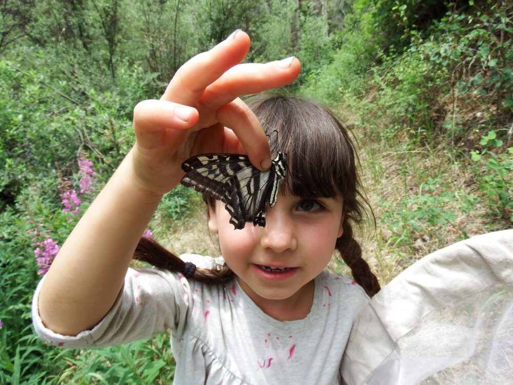NM Naturalists