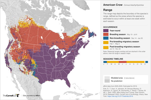 American Crow Overview, All About Birds, Cornell Lab Of, 50% OFF