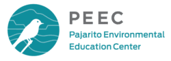 Bobcat – Pajarito Environmental Education Center