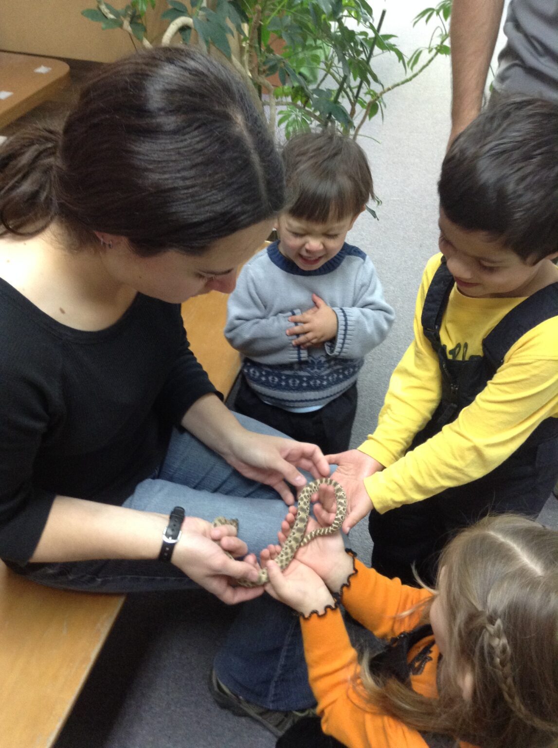 Foxxy has Passed Pajarito Environmental Education Center