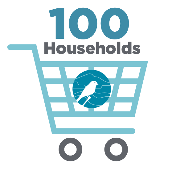 100 households logo