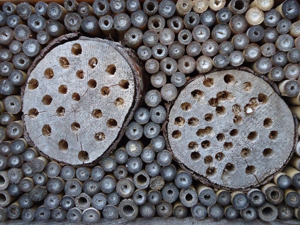 Bamboo tubes and logs with drilled holes packed tightly together form bee habitat