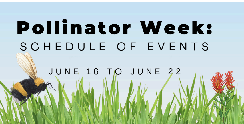pollinator week