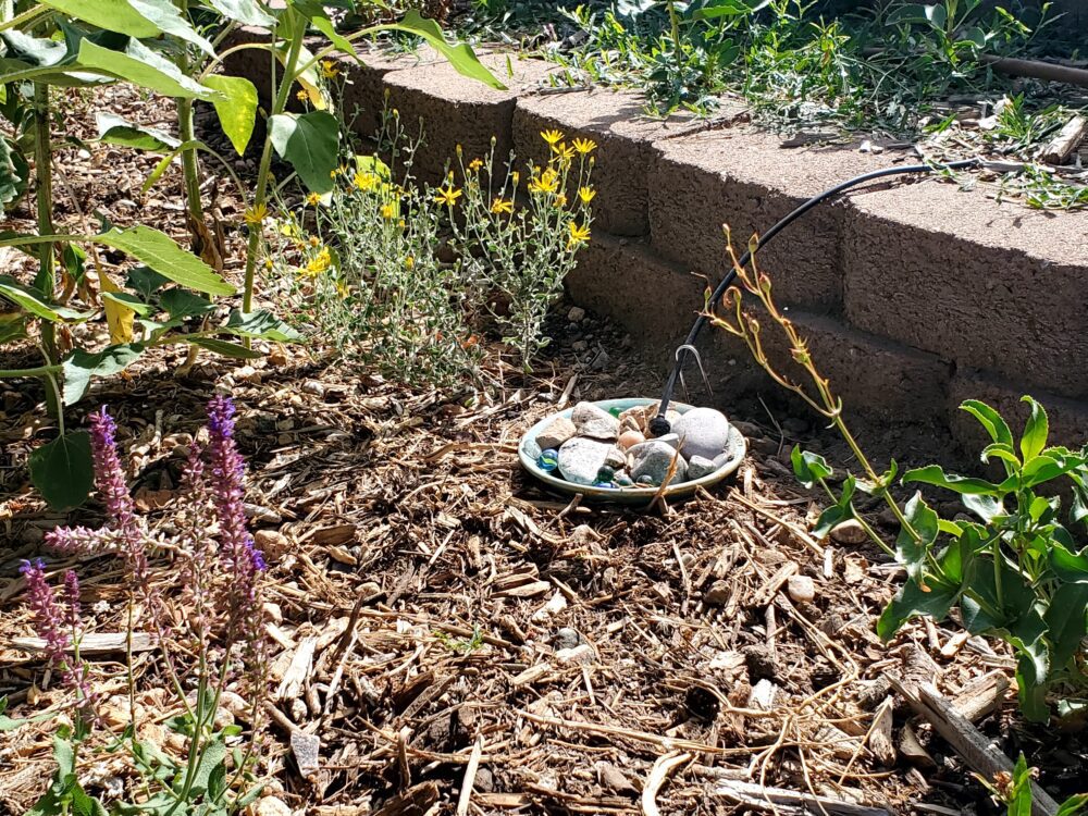 Photo of pollinator garden with flowers and a watering station